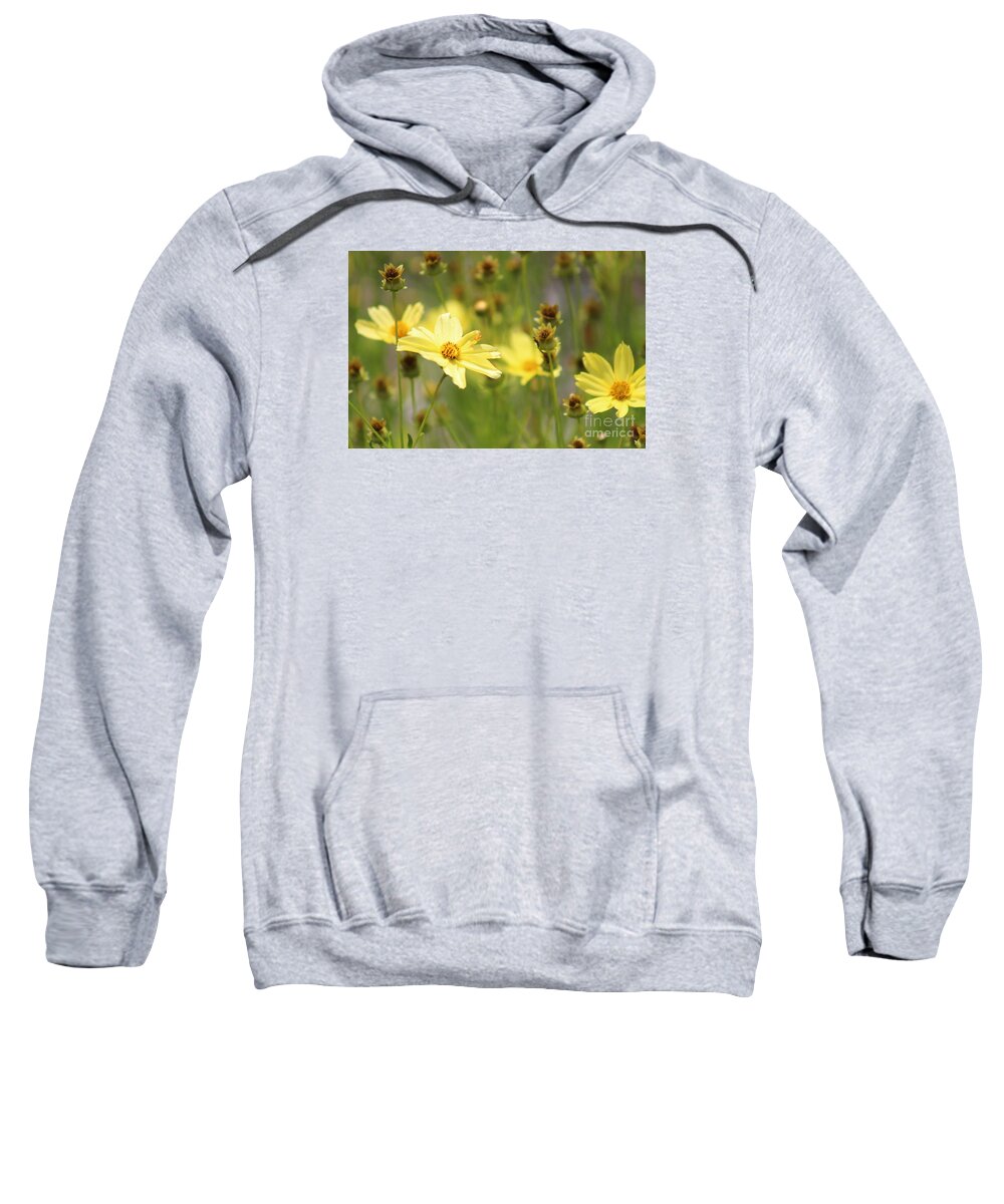 Yellow Sweatshirt featuring the photograph Nature's Beauty 68 by Deena Withycombe
