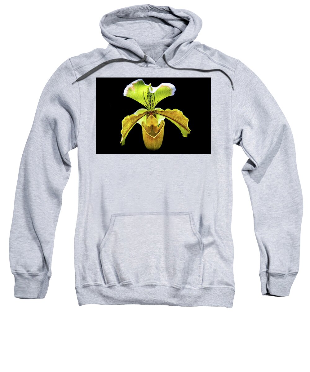 Flower Sweatshirt featuring the photograph Orchid #2 by Richard Goldman