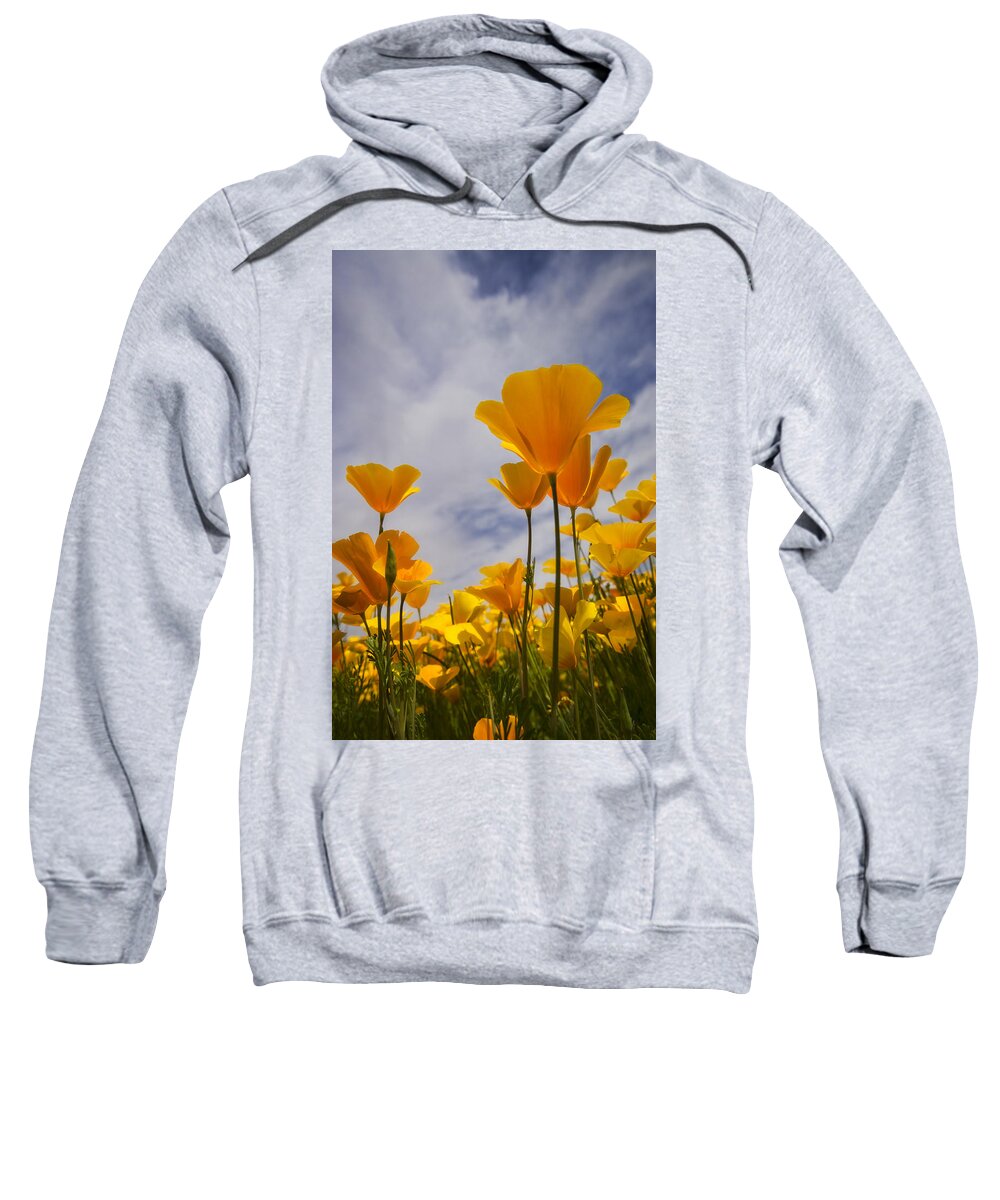 Poppies Sweatshirt featuring the photograph Springtime Poppies #3 by Saija Lehtonen