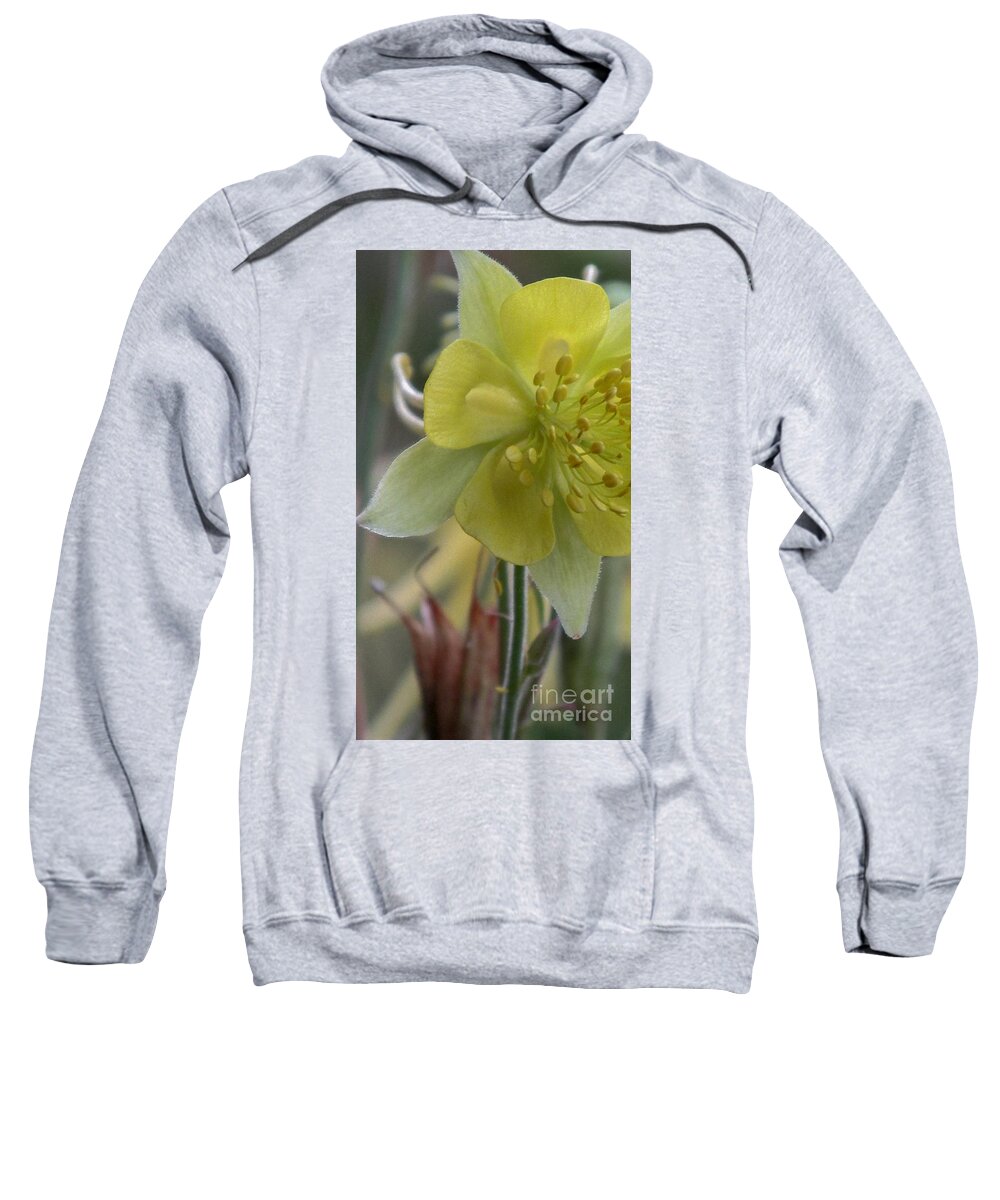 Yellow Sweatshirt featuring the photograph Yellow Flower 4 #2 by Christy Garavetto