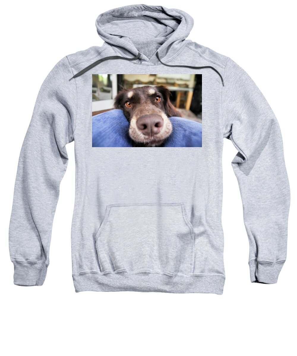 Australian Shepherd Sweatshirt featuring the digital art Australian Shepherd #3 by Super Lovely
