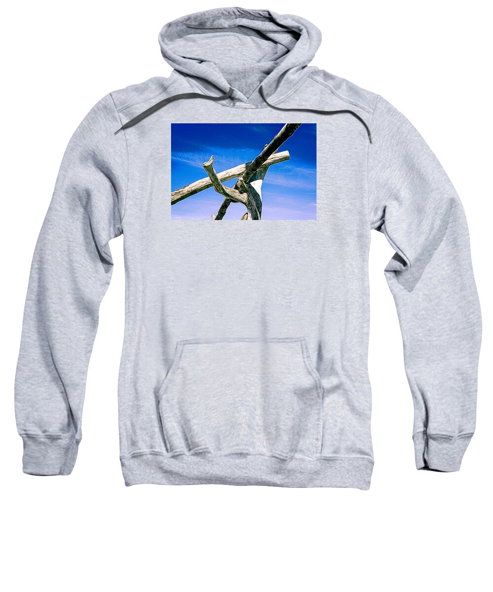 Abstract Sweatshirt featuring the photograph Driftwood Juncture #3 by Ronda Broatch