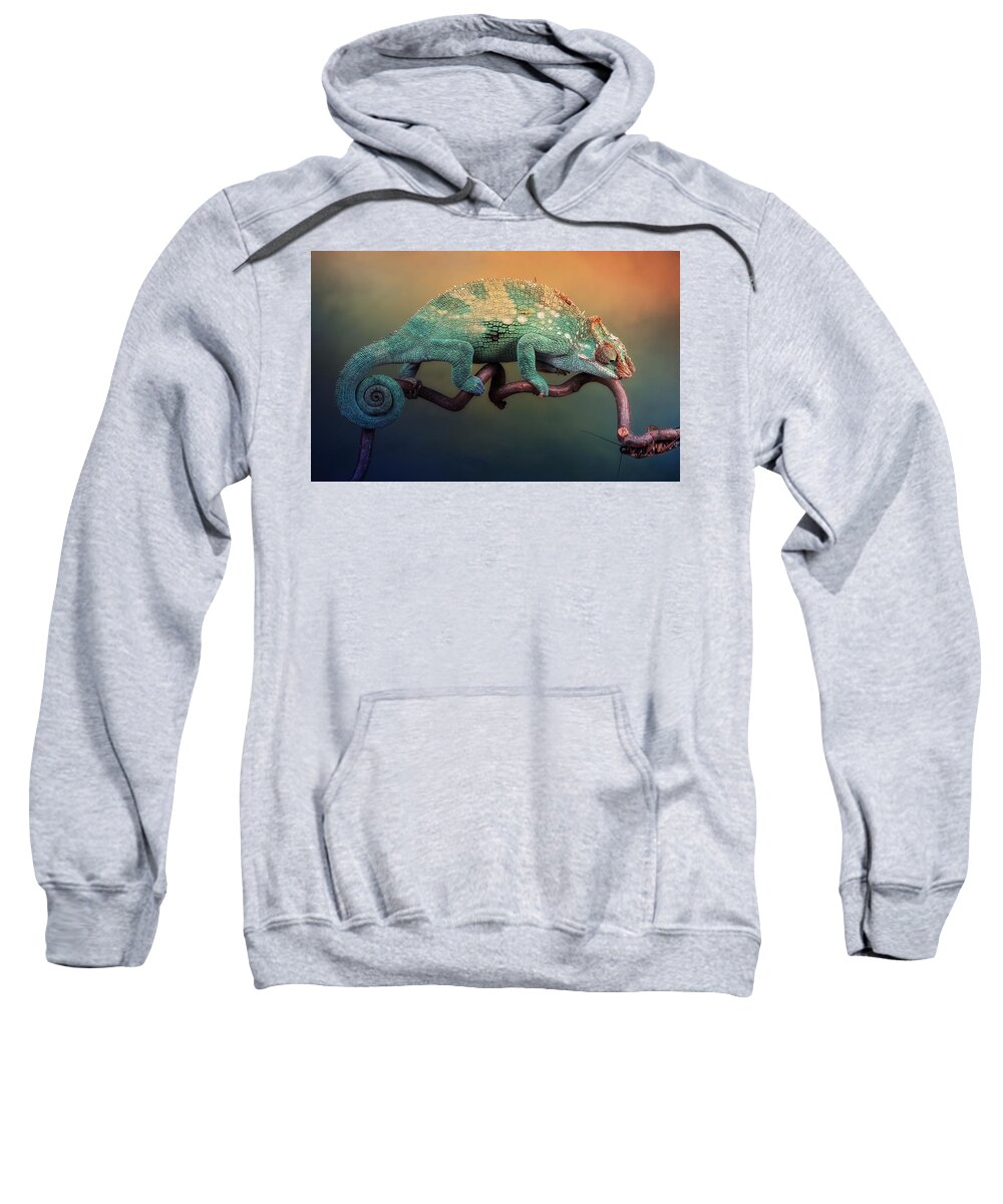 Reptile Sweatshirt featuring the photograph Reptile #3 by Mariel Mcmeeking