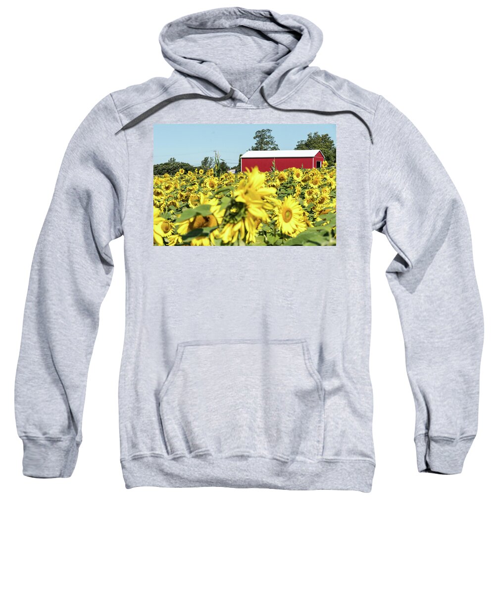 Agriculture Sweatshirt featuring the photograph The red Barn #3 by Nick Mares