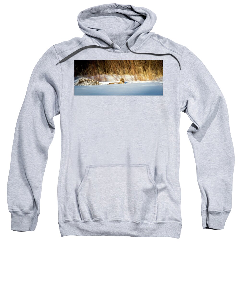 Lion Sweatshirt featuring the photograph 3 Waters Ghost by Kevin Dietrich