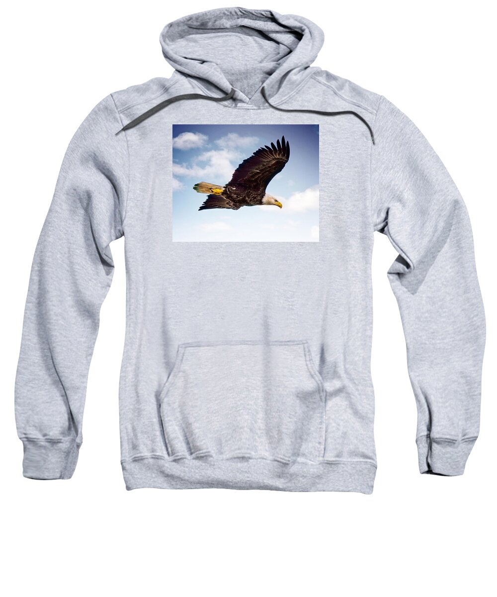 Bald Eagle Sweatshirt featuring the photograph Bald Eagle #4 by Joe Granita