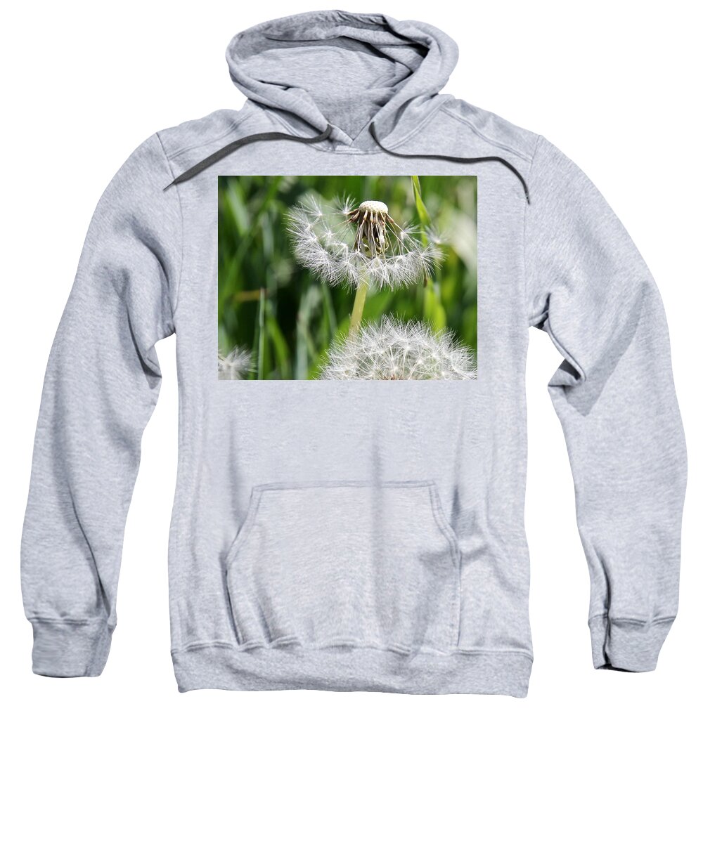 Dandelion Sweatshirt featuring the photograph Dandelion #4 by Elisabeth Derichs