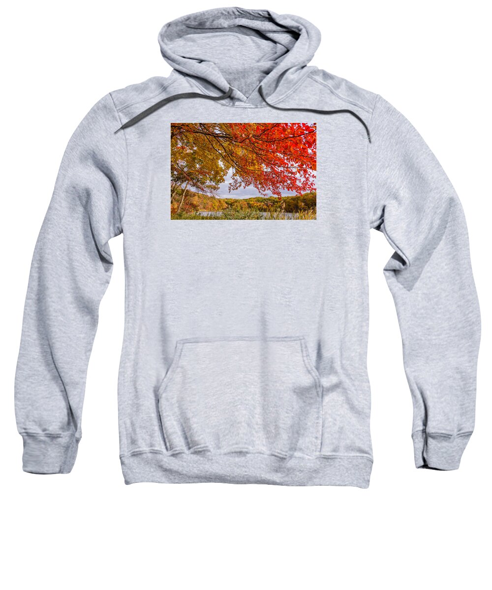 Park Sweatshirt featuring the photograph Fall foliage #4 by SAURAVphoto Online Store