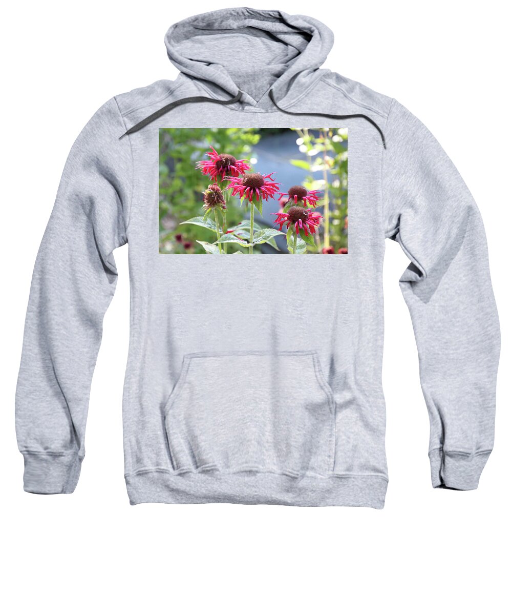 Watkins Glen Sweatshirt featuring the photograph Red flower #4 by Susan Jensen