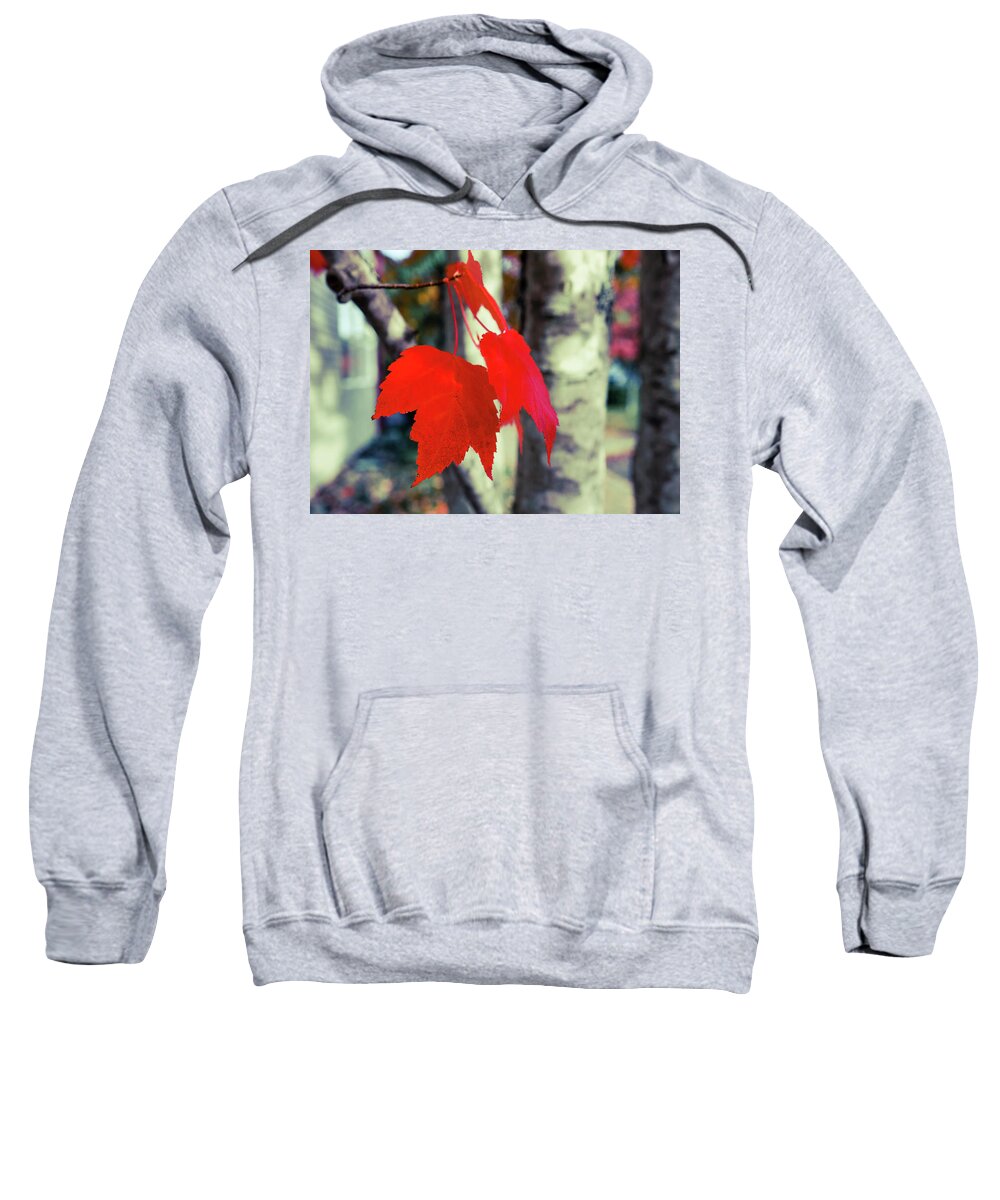 Art Sweatshirt featuring the photograph Red #4 by Ronda Broatch