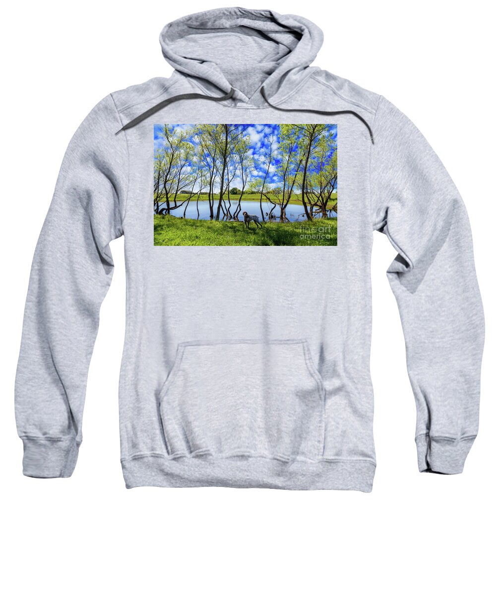 Austin Sweatshirt featuring the photograph Texas Hill Country by Raul Rodriguez
