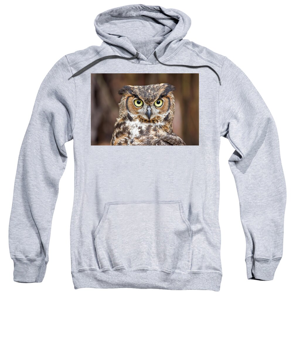 Great Sweatshirt featuring the photograph Great Horned Owl #7 by Jill Lang