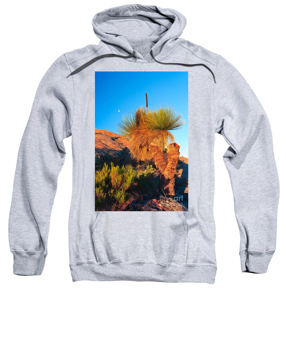 Wilpena Pound St Mary Peak Filinders Ranges South Australia Australain Landscape Landscapes Outback Moon Xanthorhoea Sweatshirt featuring the photograph Wilpena Pound #8 by Bill Robinson