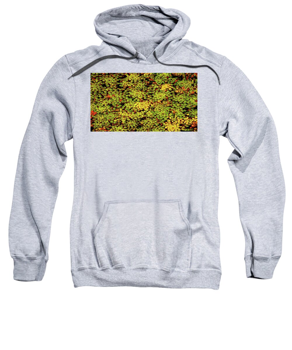 Nature Sweatshirt featuring the photograph A Botanical Mosaic by Robert Mitchell