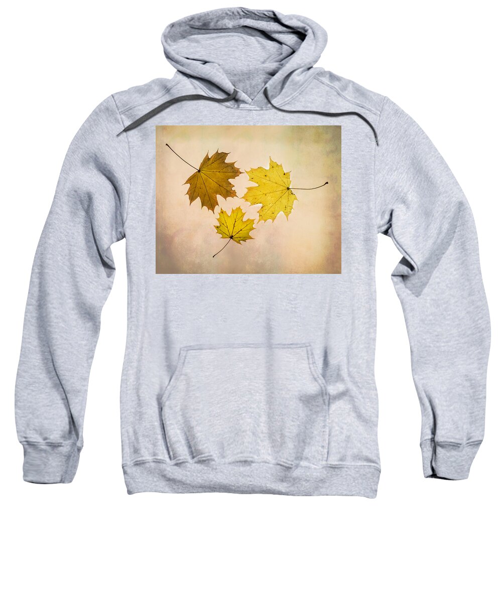Leaves Sweatshirt featuring the photograph A Circle Of Autumn Leaves by Gary Slawsky