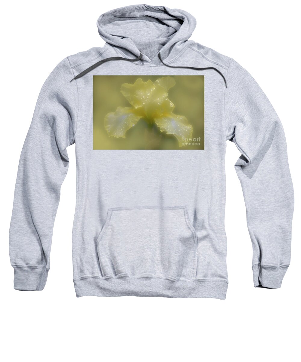 Iris Sweatshirt featuring the digital art A Moment in Time by Phil Dyer