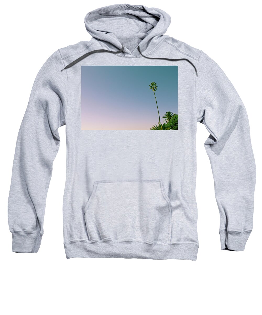 Palm Tree Sweatshirt featuring the photograph A Palm on its Own by Matthew Wolf