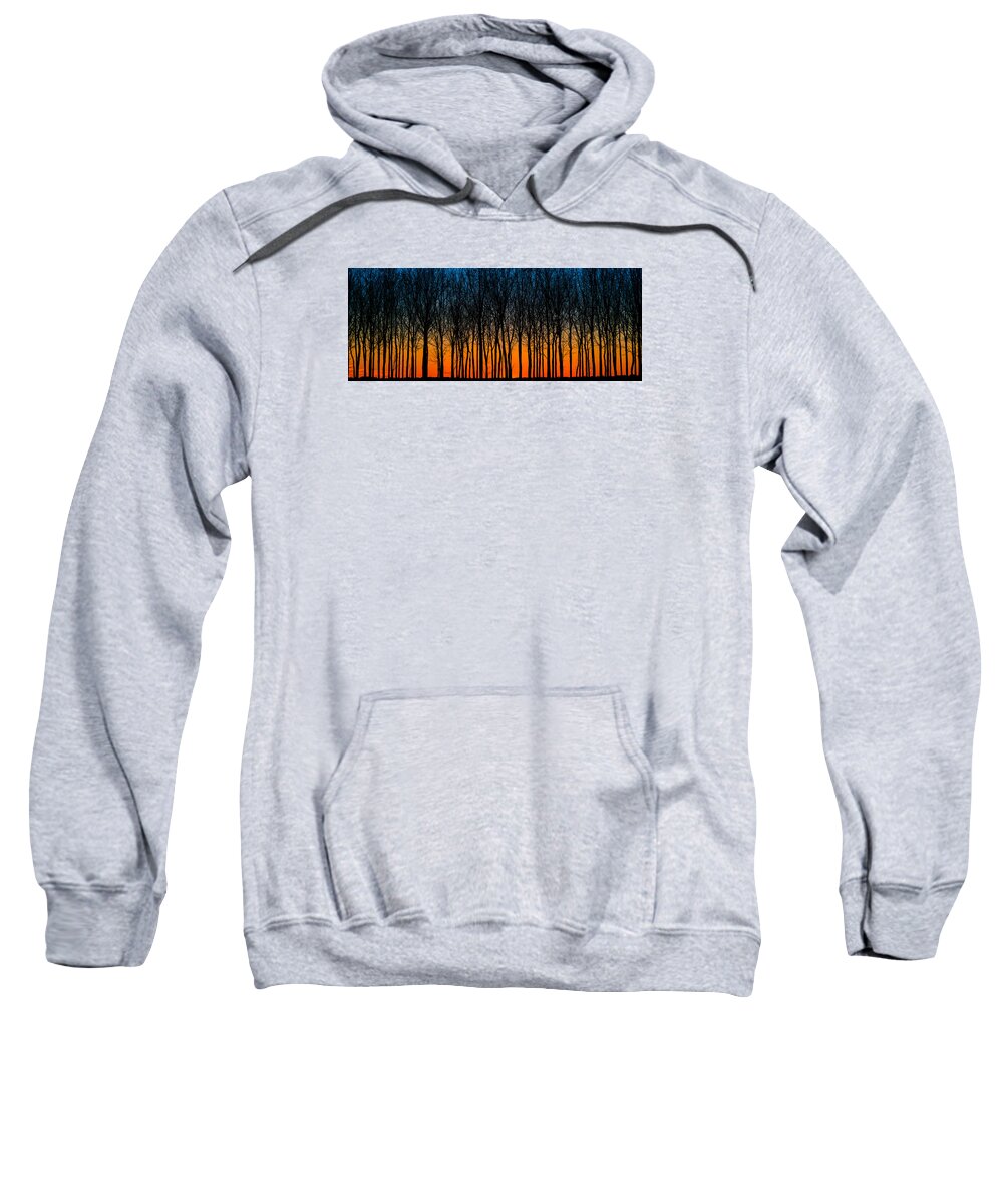 Archbold Sweatshirt featuring the photograph After Sunset In The Walnut Grove by Michael Arend