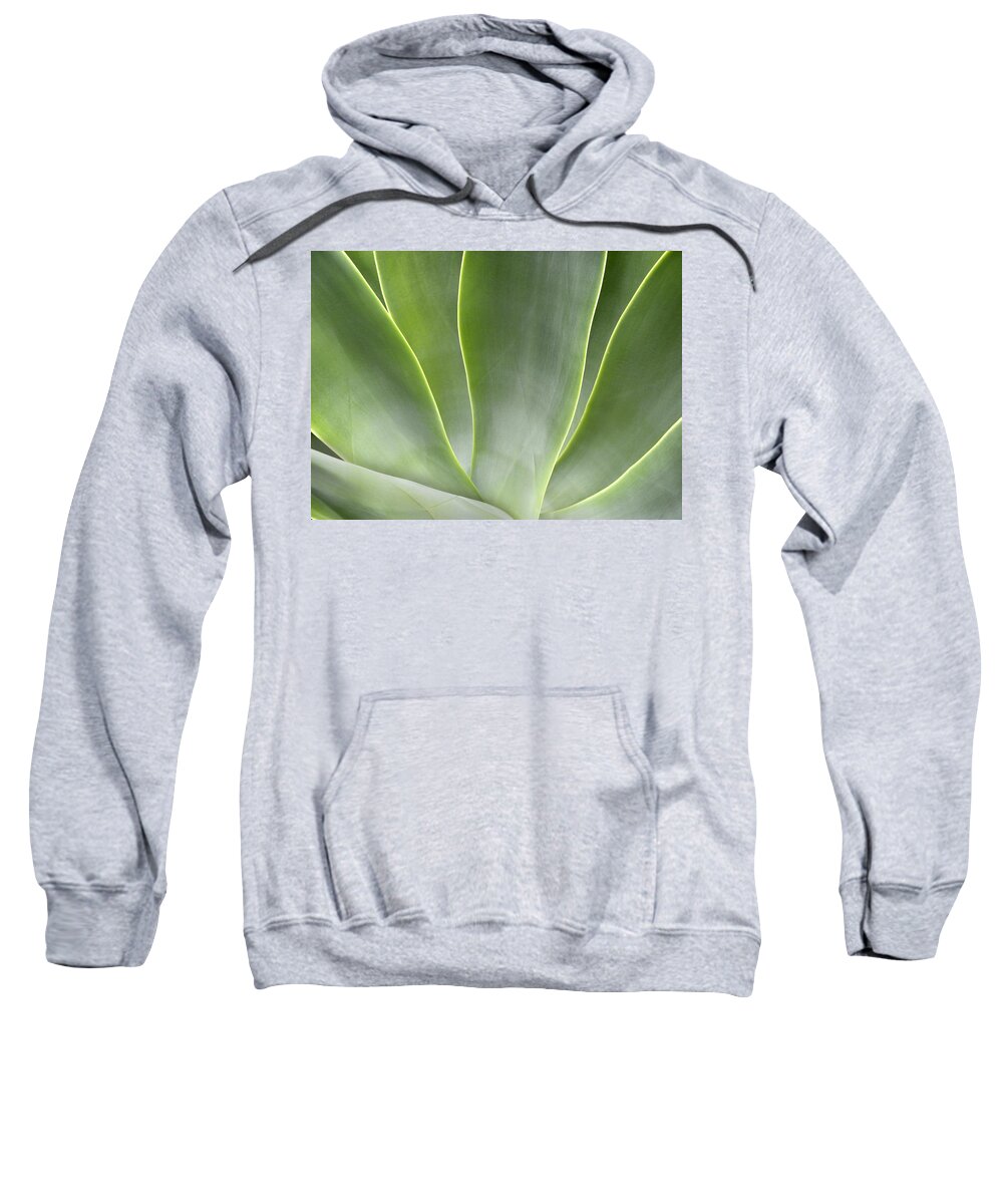 Agave Sweatshirt featuring the photograph Agave Leaves by Rich Franco