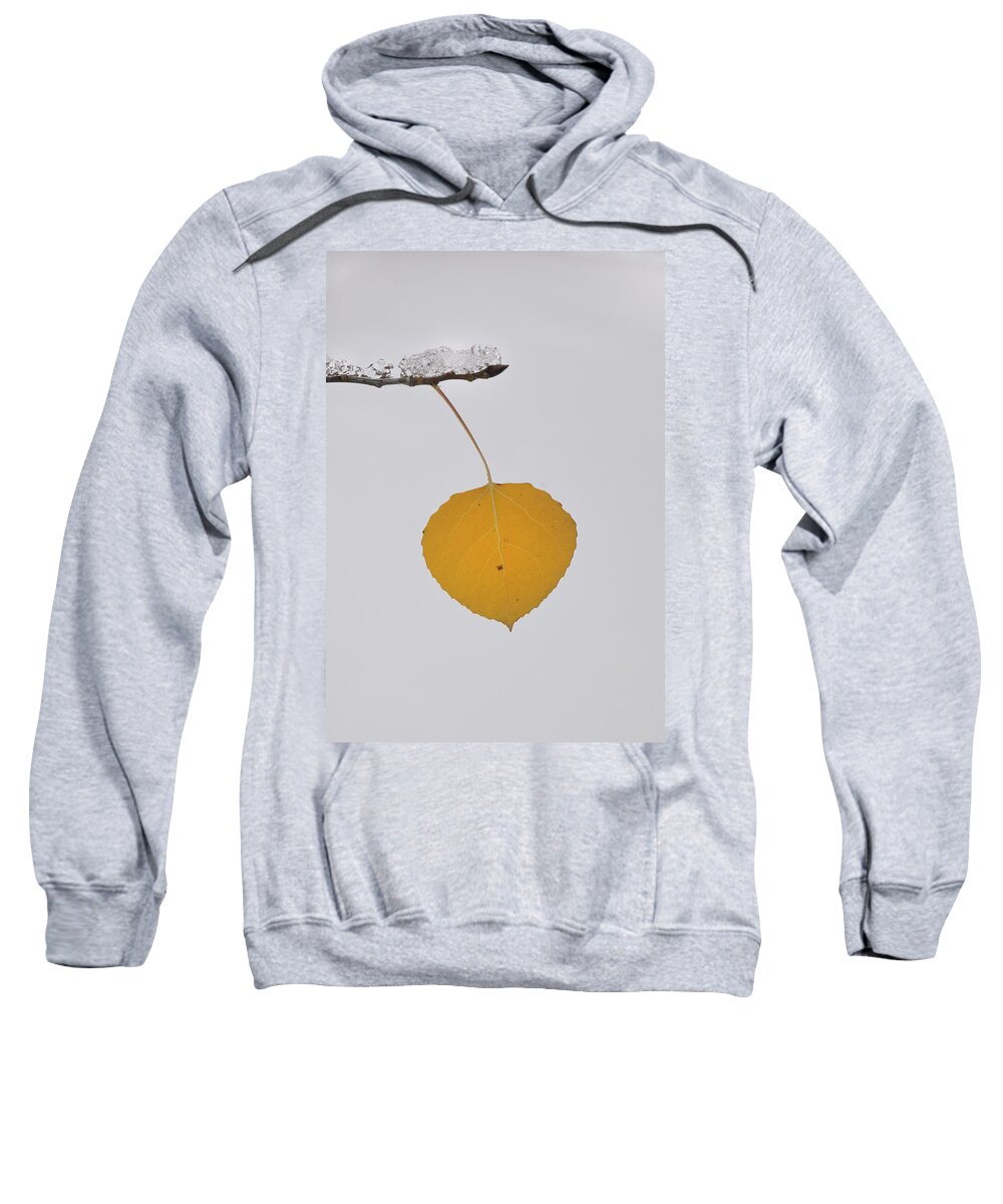 Nature Sweatshirt featuring the photograph Alone In The Snow by Ron Cline
