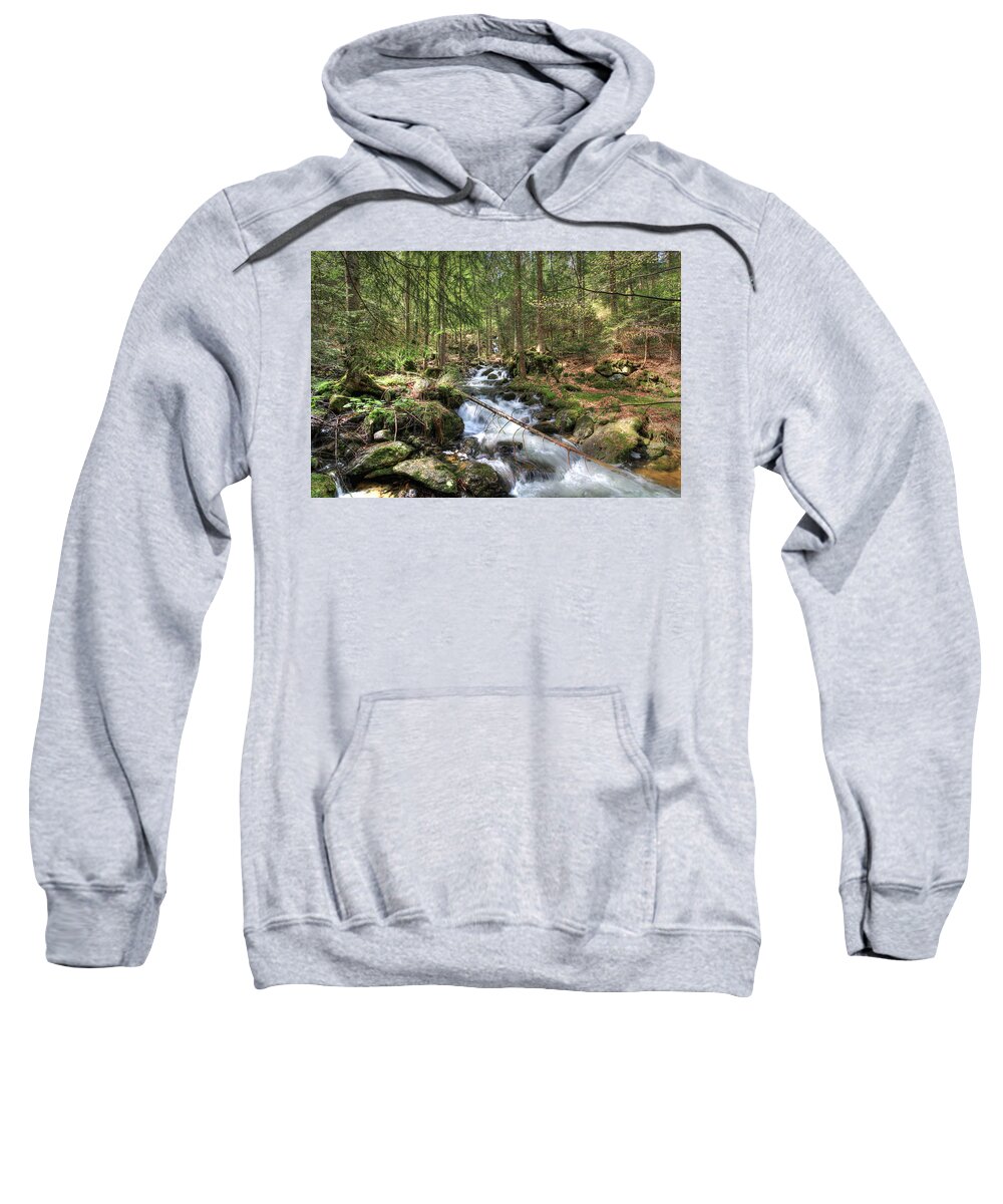 Mountain Sweatshirt featuring the photograph Alpine Water Falls by Sean Allen