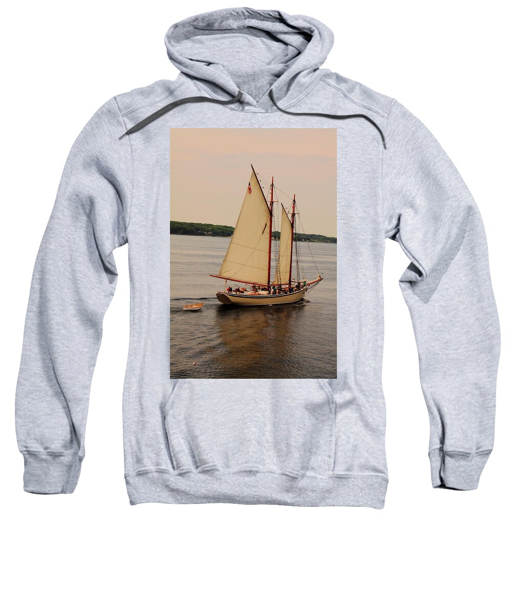 Seascape Sweatshirt featuring the photograph American Eagle Inbound by Doug Mills