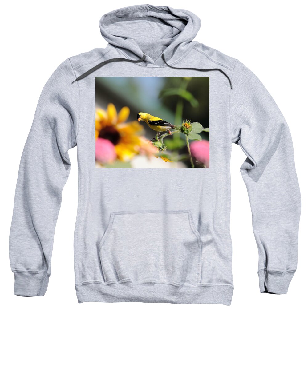 American Goldfinch Sweatshirt featuring the photograph American Goldfinch by John Moyer