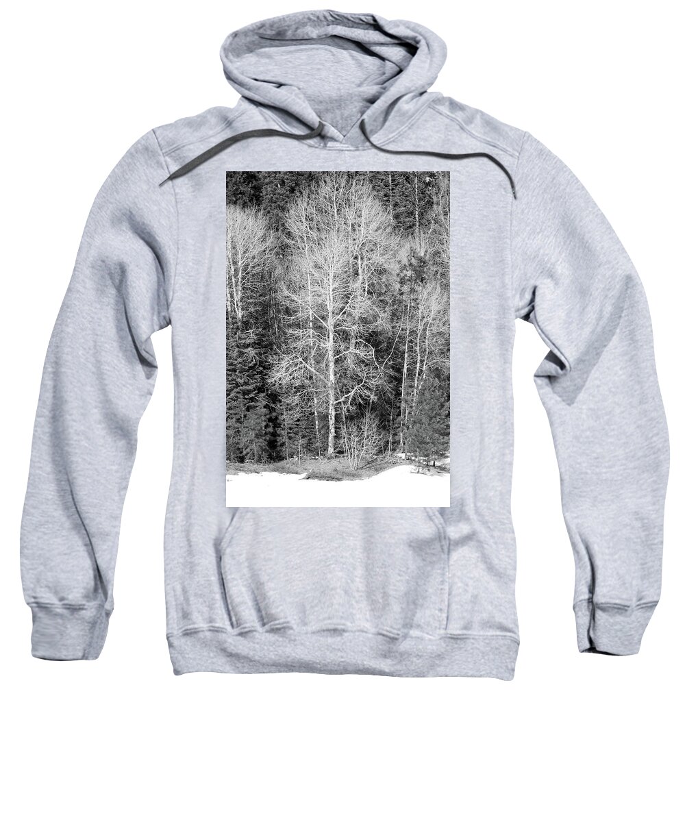 Annie Creek Sweatshirt featuring the photograph Annie Creek Aspens by Dr Janine Williams