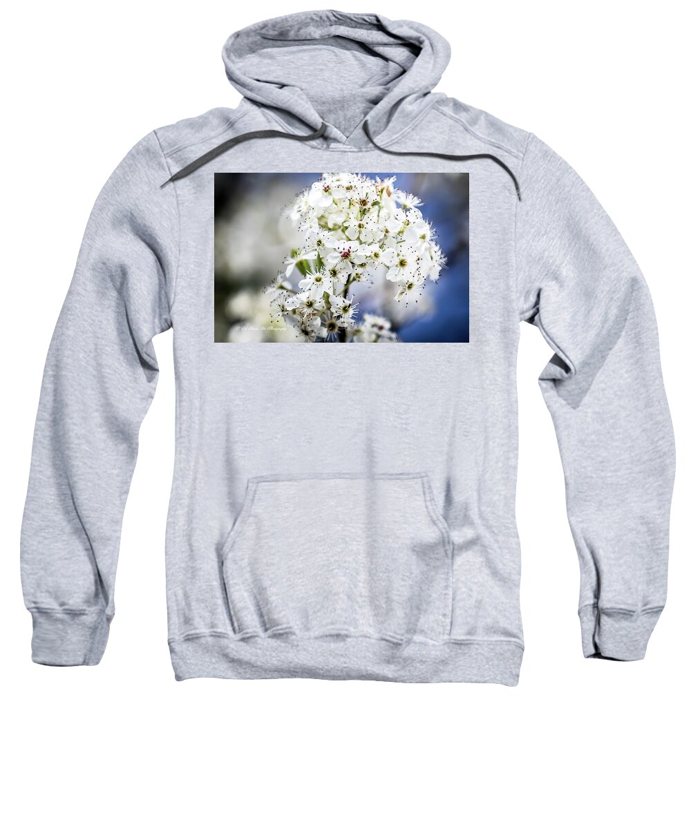 Early Hawthorne Melody Sweatshirt featuring the digital art Announcer of Spring by Ed Stines