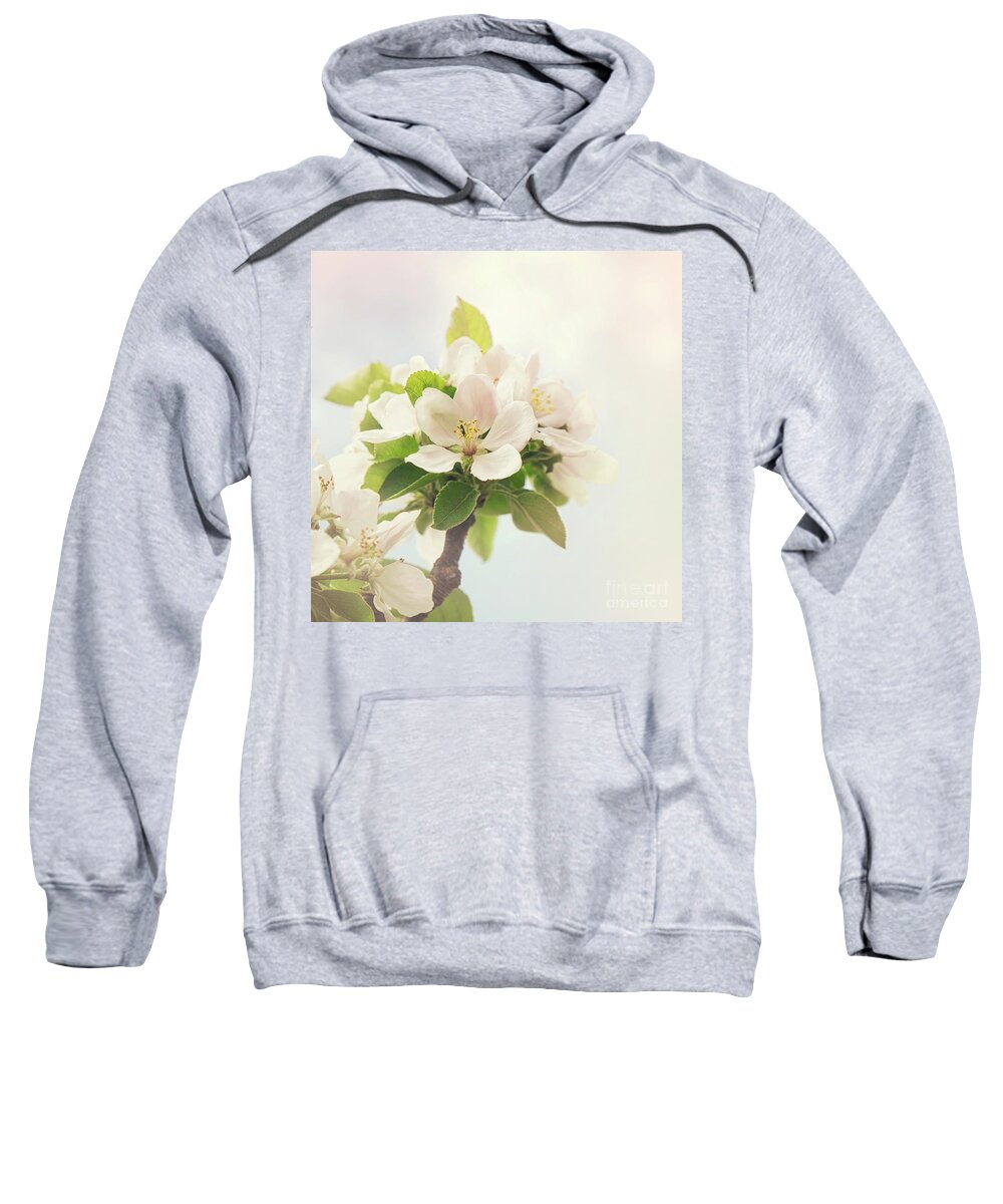 Apple Sweatshirt featuring the photograph Apple blossom retro style processing by Jane Rix