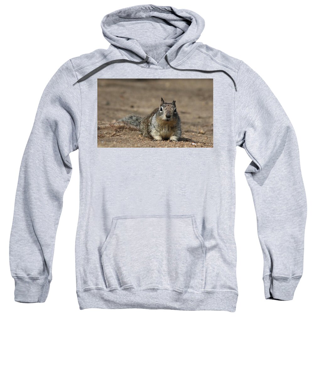 Wild Sweatshirt featuring the photograph Army Crawl - 2 by Christy Pooschke