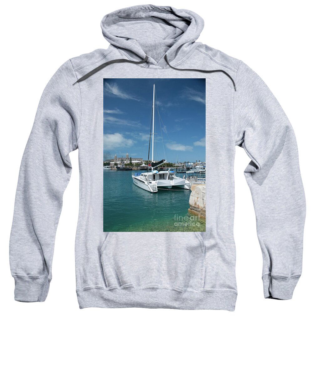 Sailboat Sweatshirt featuring the photograph Artistocat by Kathy Strauss