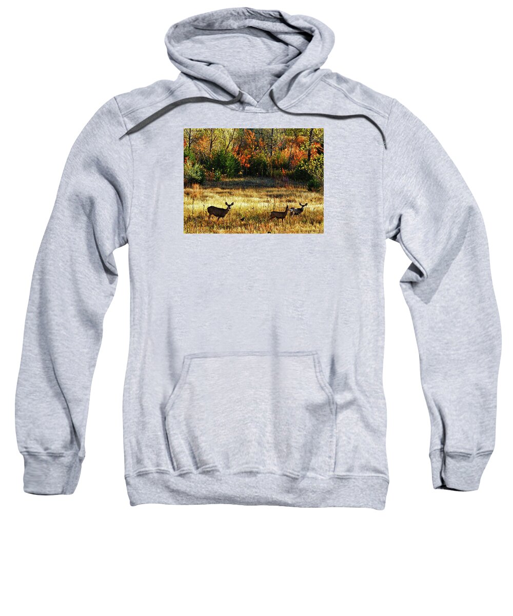 Bill Kesler Photography Sweatshirt featuring the photograph Deer Autumn by Bill Kesler