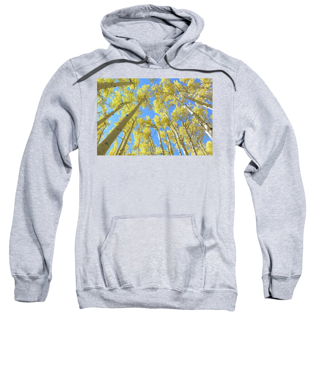 Landscape Sweatshirt featuring the photograph Aspen Canopy by Daniel Dean