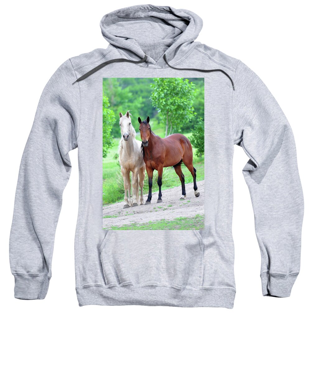 Animals Sweatshirt featuring the photograph At Grass by OLena Art by Lena Owens - Vibrant DESIGN