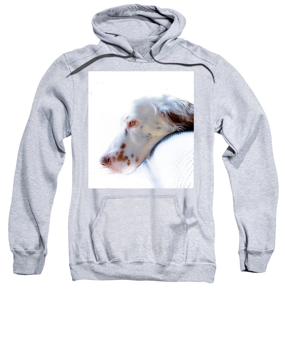 English Setter Sweatshirt featuring the photograph Athos P by Jeff Cooper