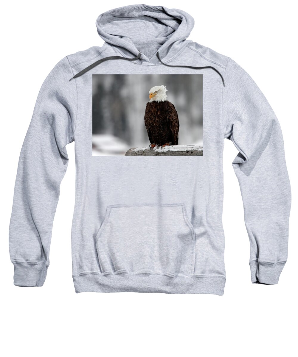Eagle Sweatshirt featuring the photograph Attitude by Ronnie And Frances Howard