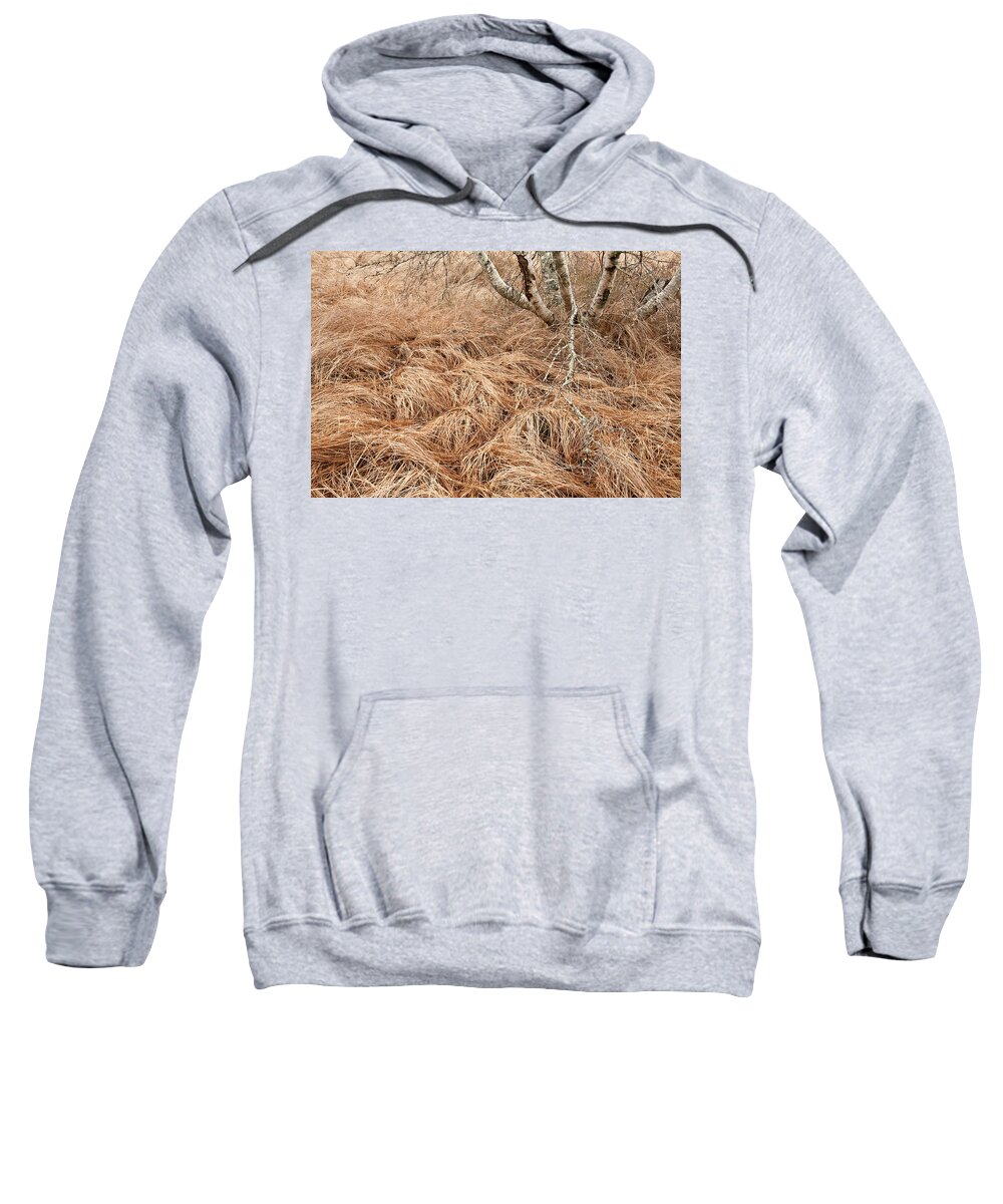 Autumn Sweatshirt featuring the photograph Autumn Meadow Details #2 by Irwin Barrett