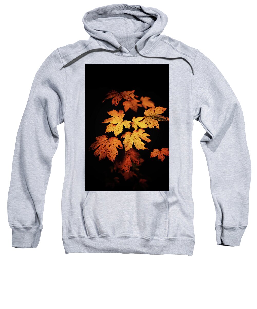 Autumn Sweatshirt featuring the photograph Autumn Photo by Philippe Sainte-Laudy