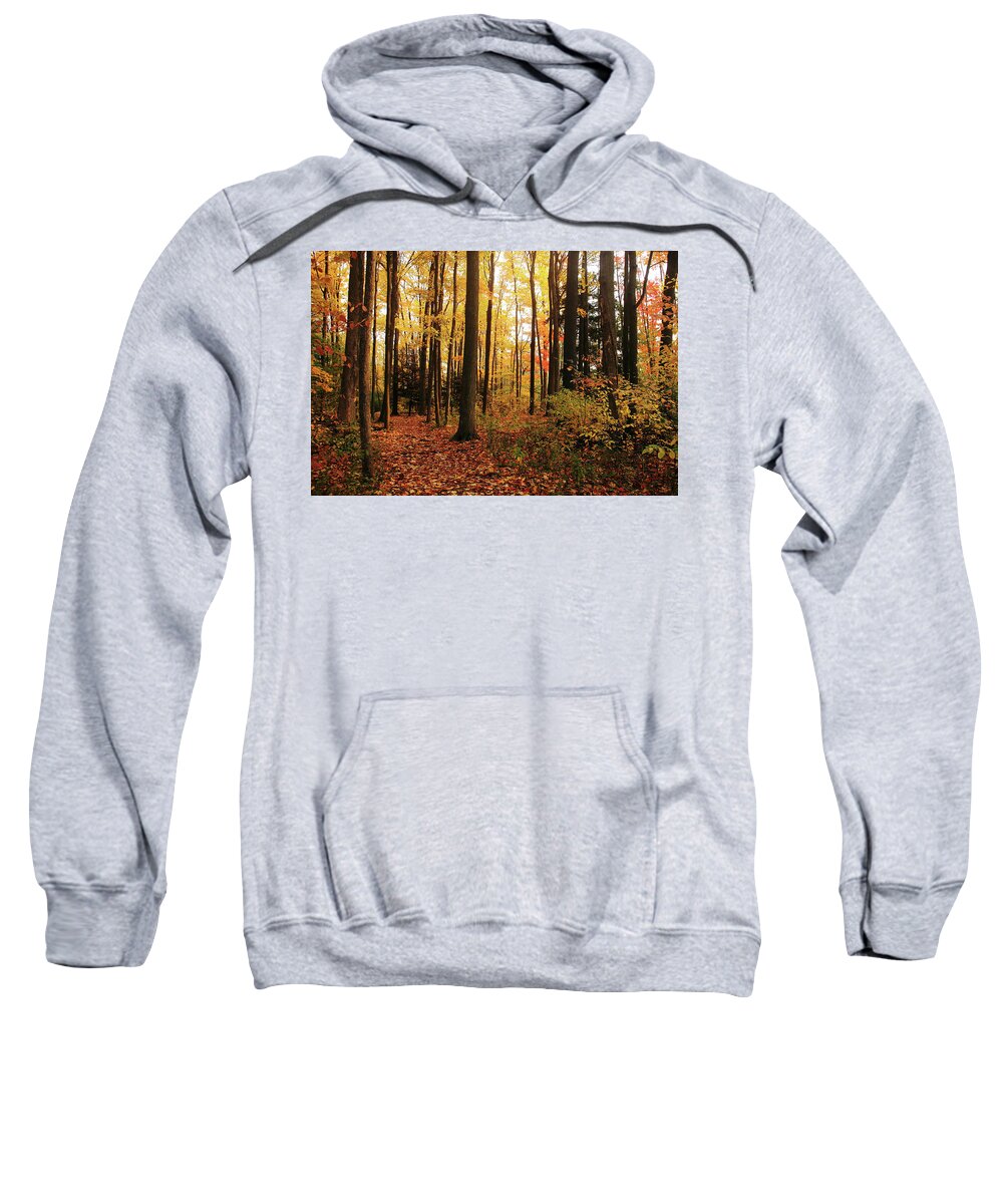 Autumn Sweatshirt featuring the photograph Autumn Woods by Debbie Oppermann