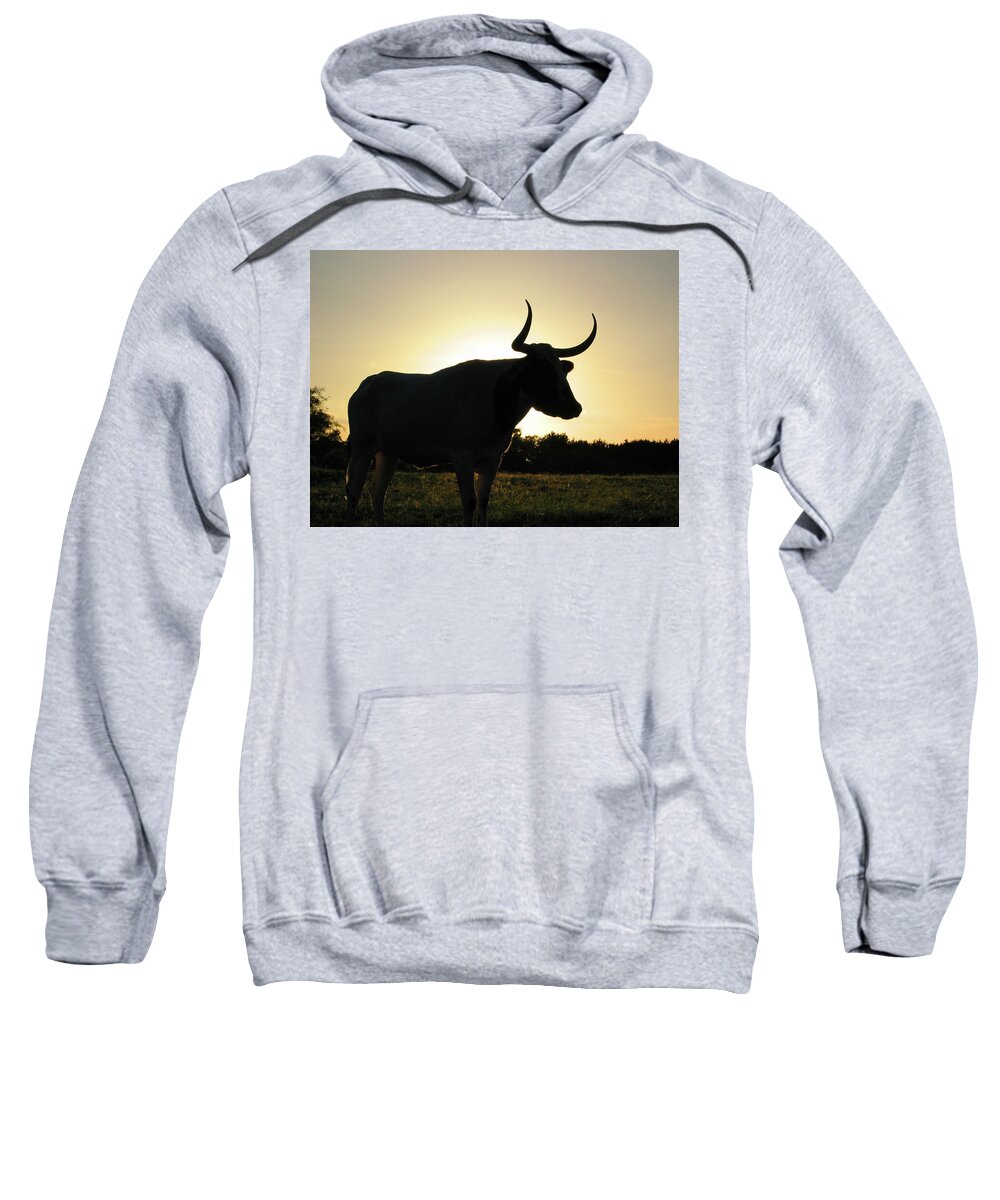 Backlit Sweatshirt featuring the photograph Backlit Longhorn by Ted Keller