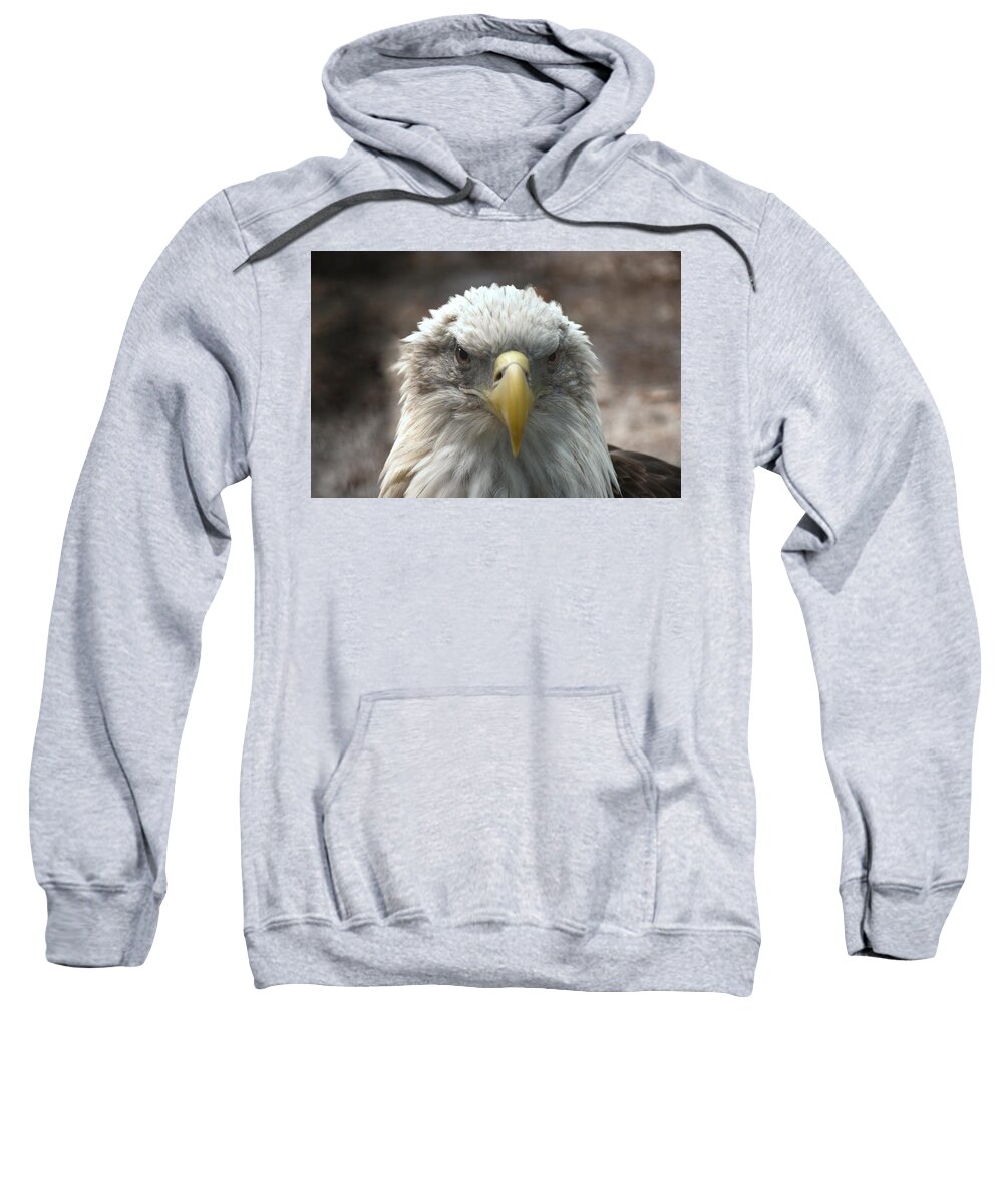 Bald Eagle Sweatshirt featuring the photograph Bald Eagle 450 by Joyce StJames