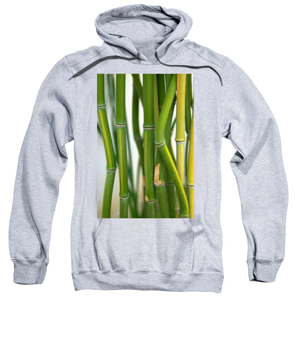Bamboo Sweatshirt featuring the photograph Bamboo Canes Yellow Groove by Nathan Abbott