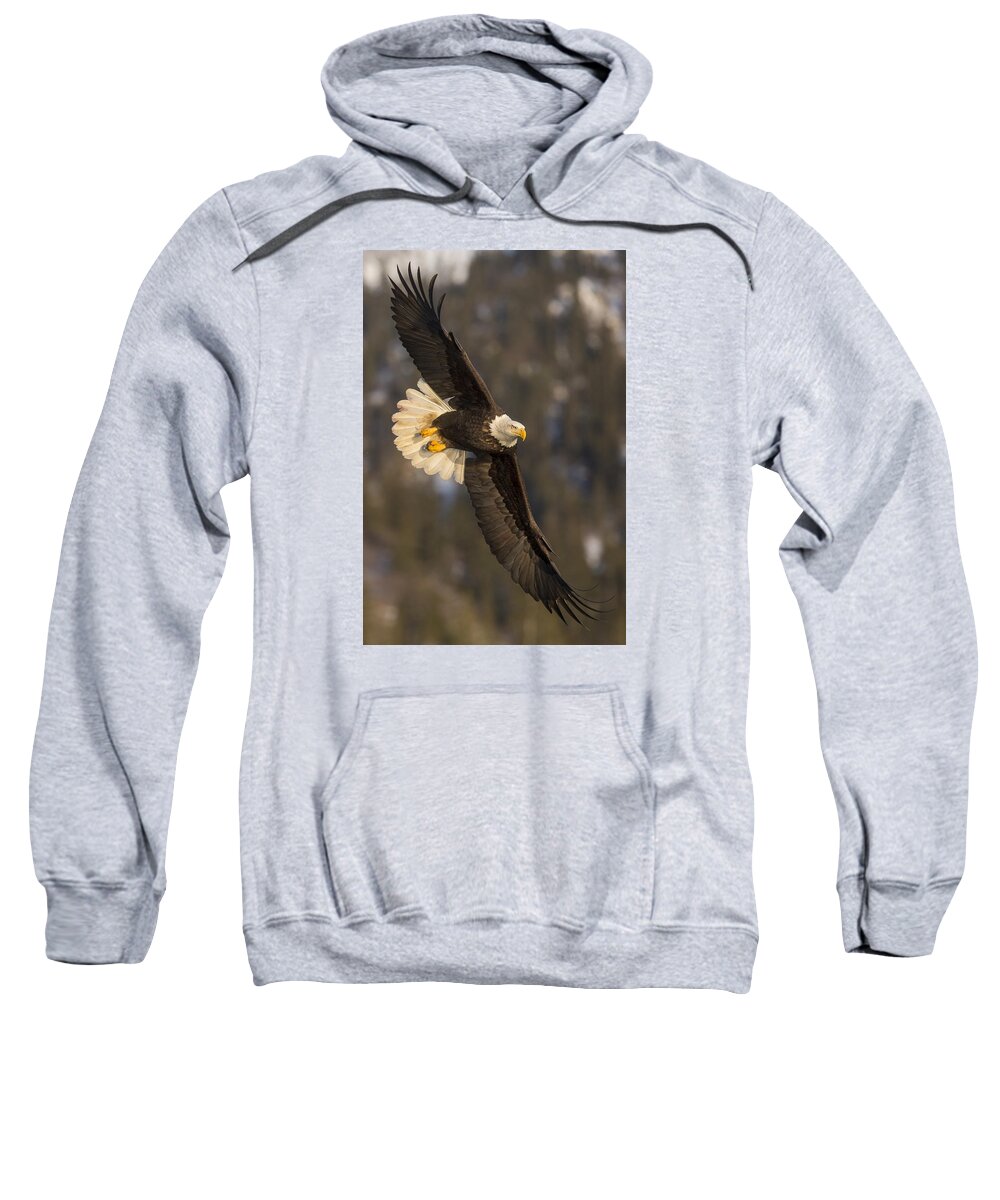 Alaska Sweatshirt featuring the photograph Banking Bald Eagle by D Robert Franz