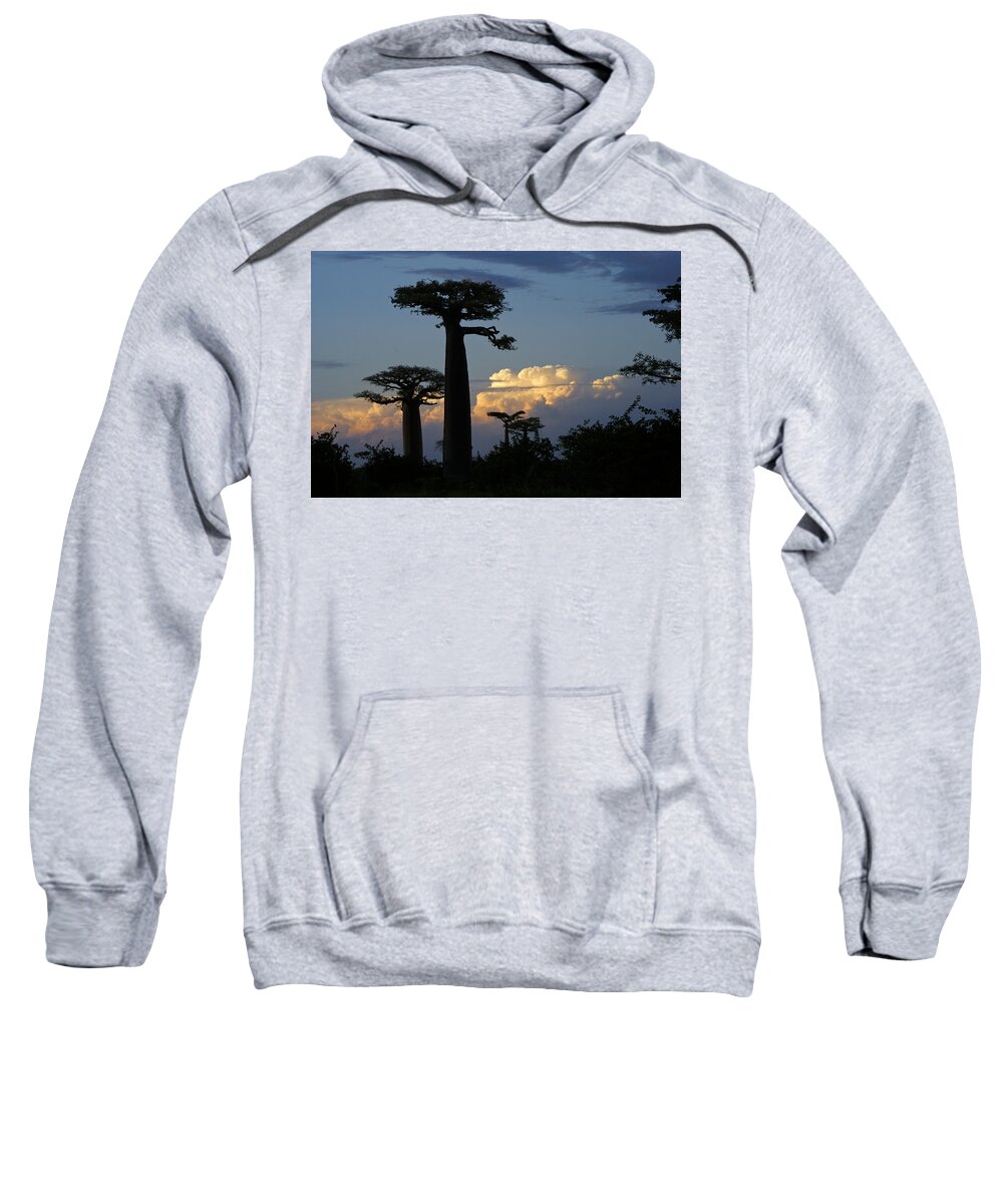 Madagascar Sweatshirt featuring the photograph Baobabs and Storm Clouds by Michele Burgess