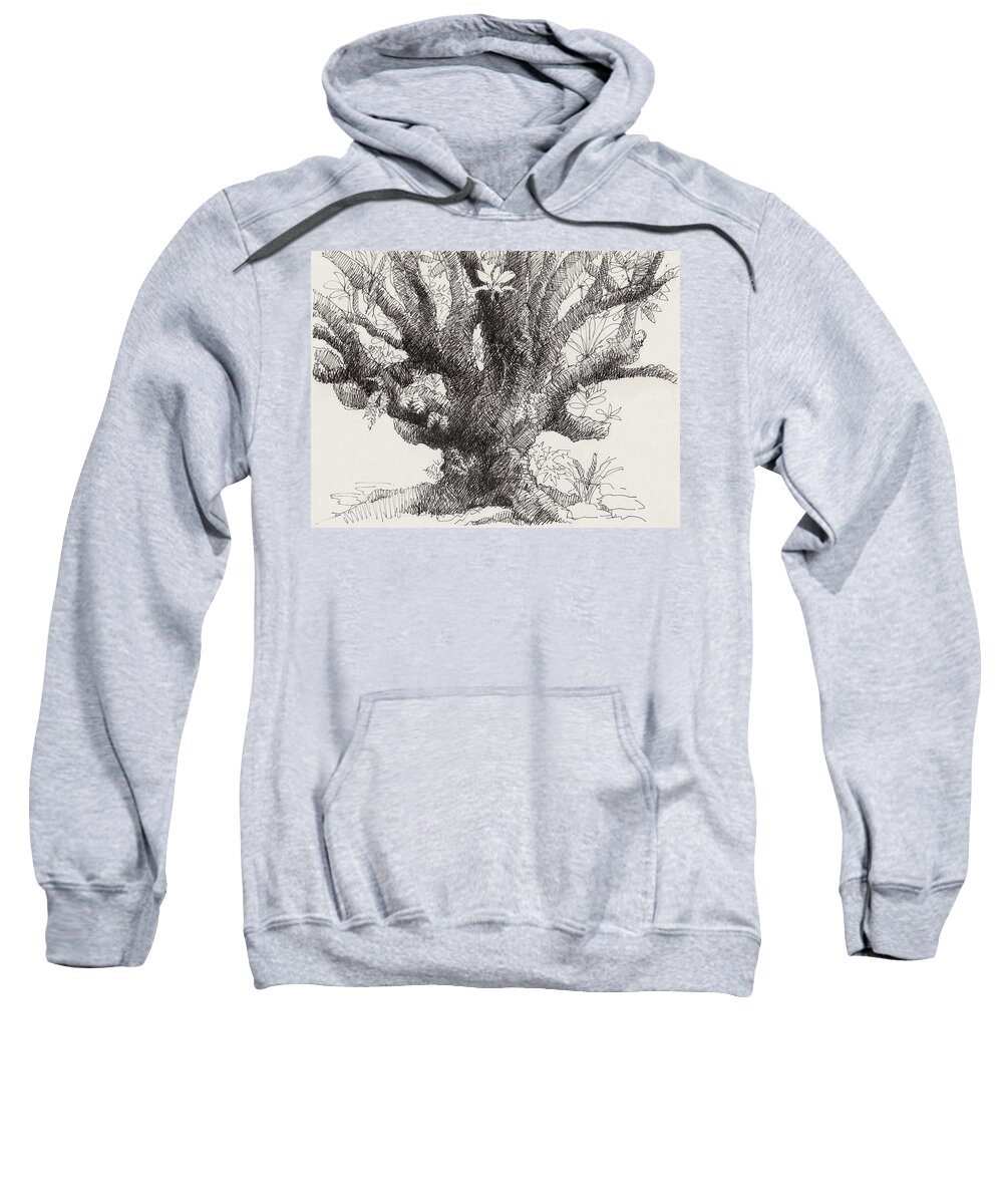 Plant Sweatshirt featuring the drawing Barringtonia Tree by Judith Kunzle