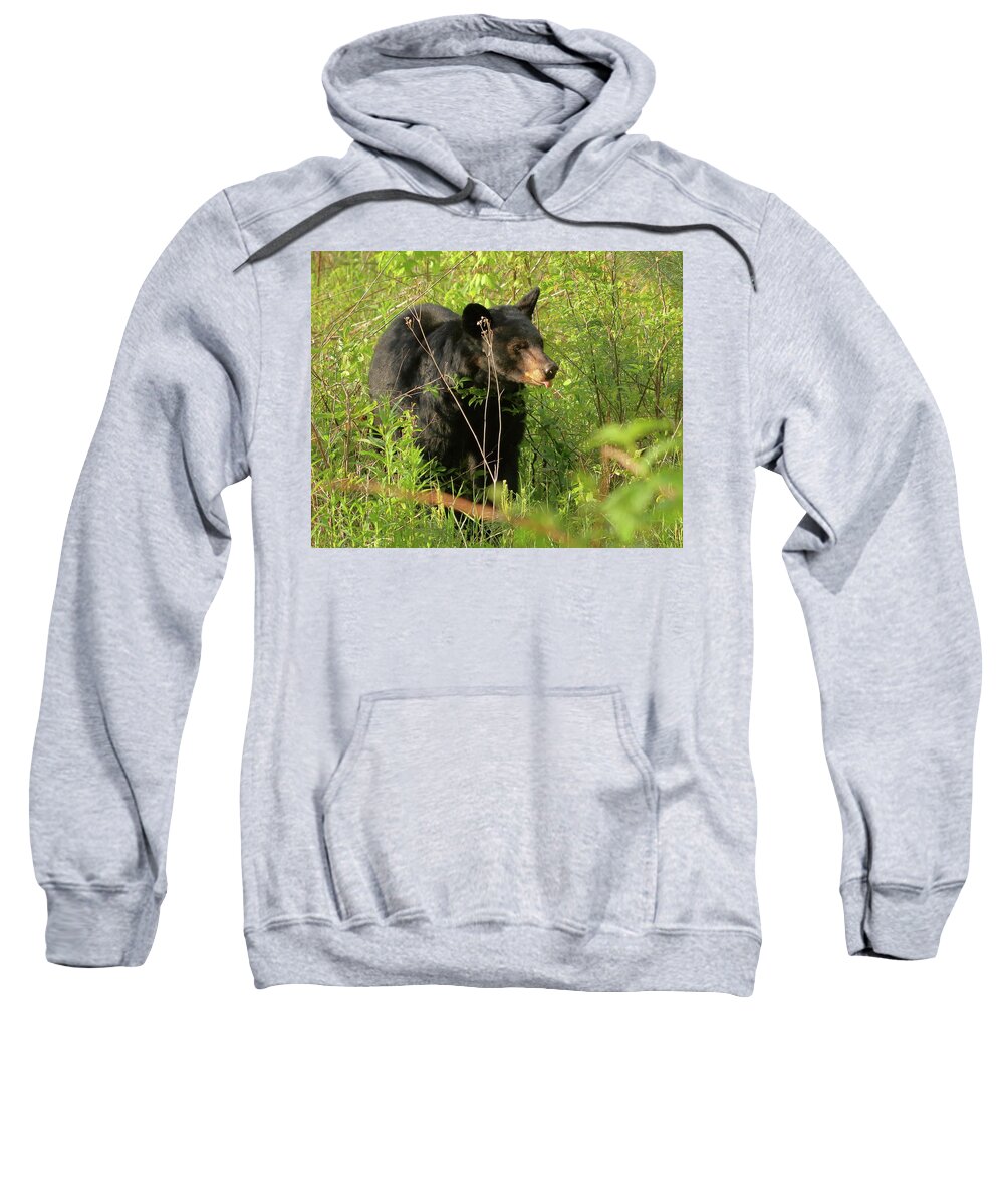 American Black Bear Sweatshirt featuring the photograph Bear in the grass by Coby Cooper