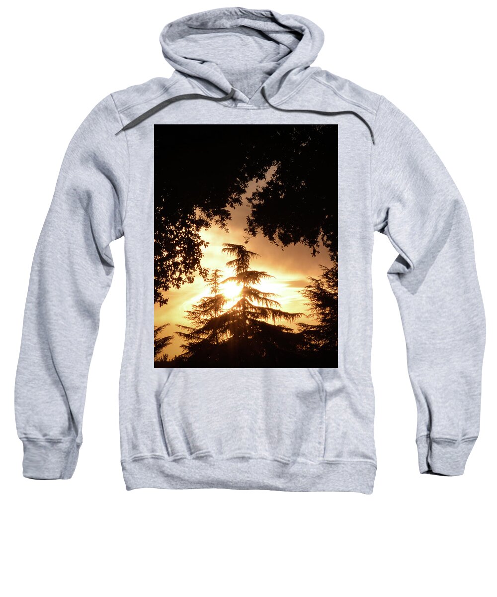 Evergreen Tree Silhouette Sweatshirt featuring the photograph Beaumont Sunset by Leah McPhail