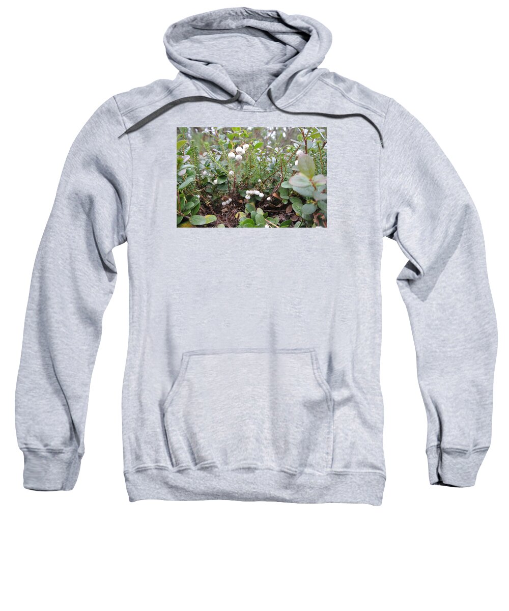 Leaves Sweatshirt featuring the photograph Beautiful season of change -The beginning of winter by Hon-yax Multiply LLC