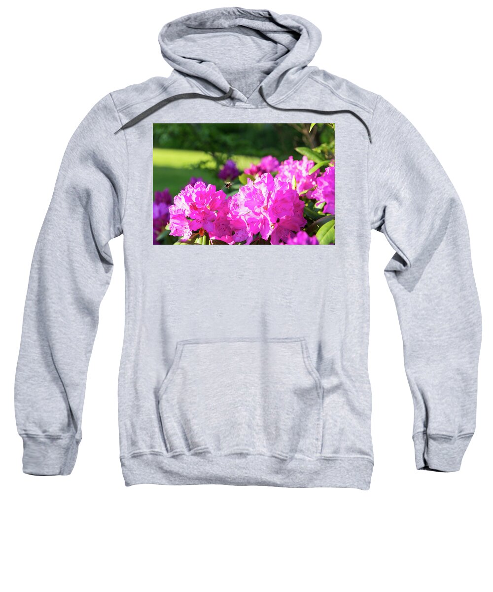 Bee Sweatshirt featuring the photograph Bee Flying Over Catawba Rhododendron by D K Wall